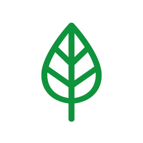 leaf icon over green leaf photo