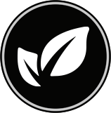 Vegan, sugar and gluten free Vegan, sugar and gluten free
