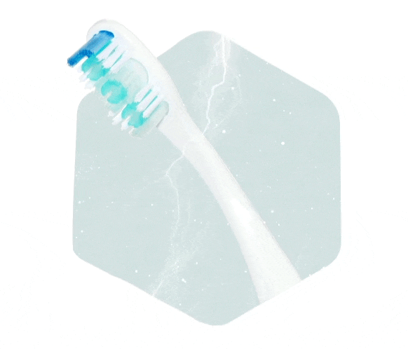 Toothbrush Toothbrush